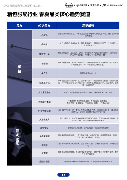 报告页面52