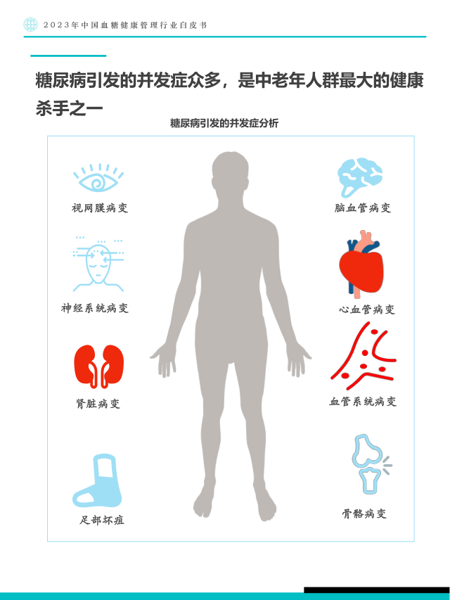 报告页面11