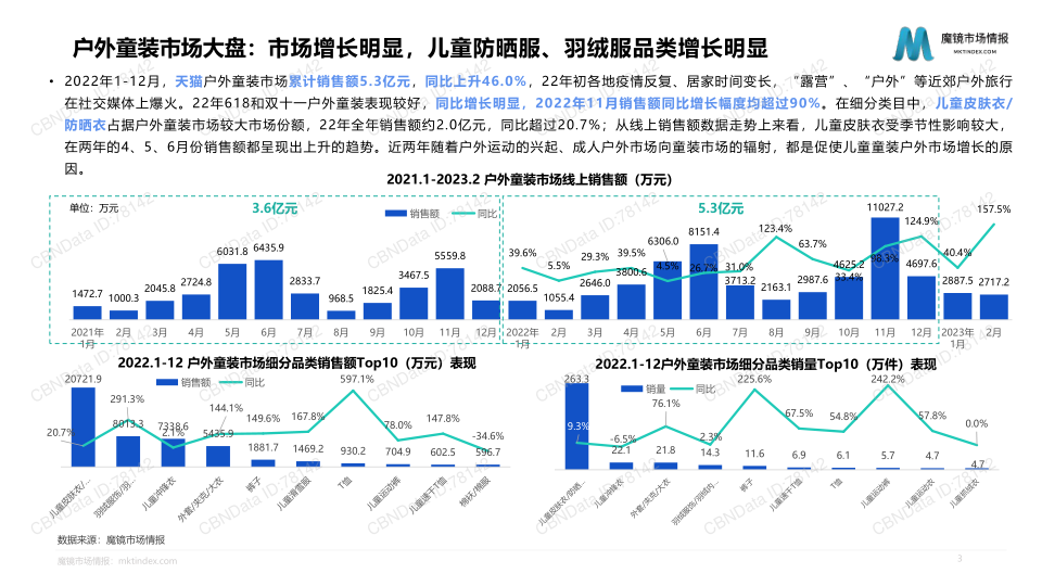 报告页面3