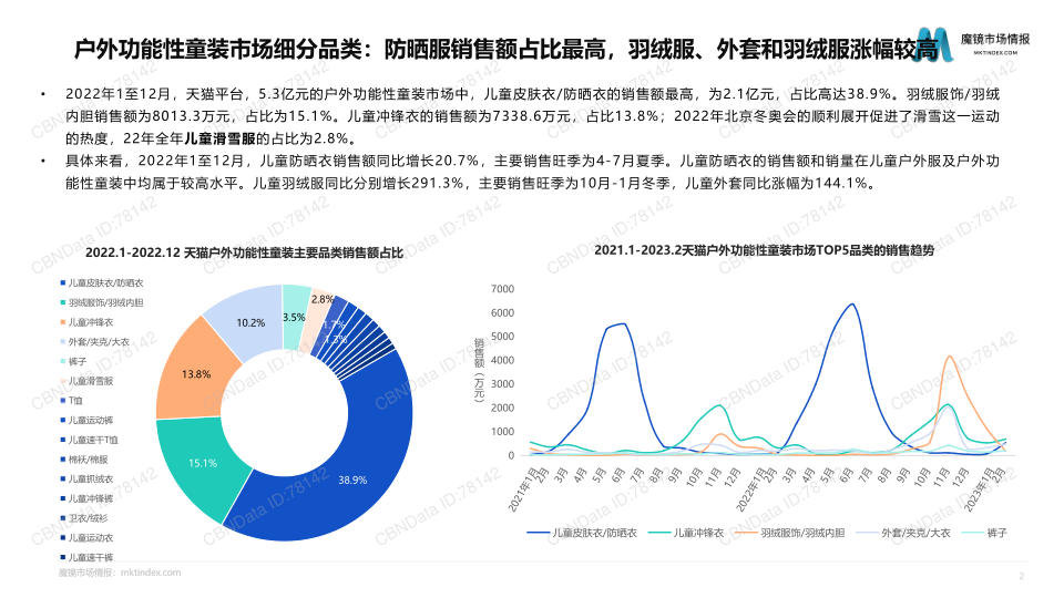 报告页面4