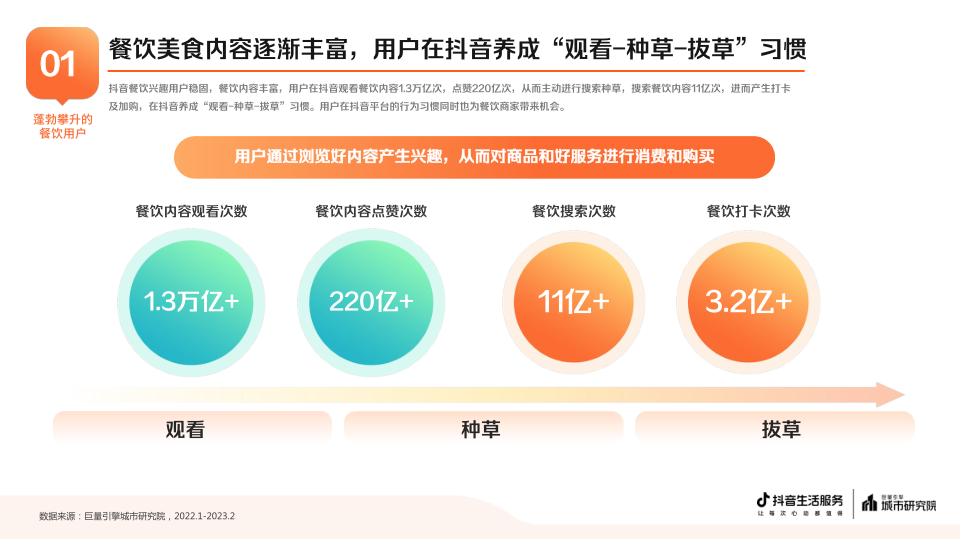 报告页面4