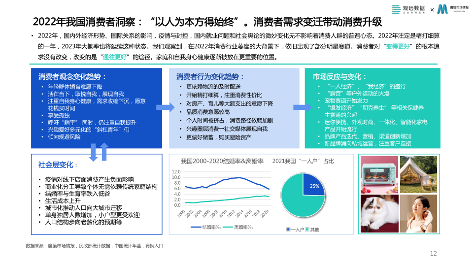 报告页面12