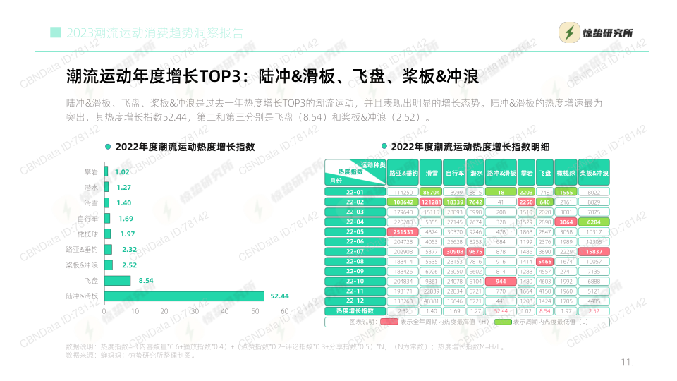 报告页面11