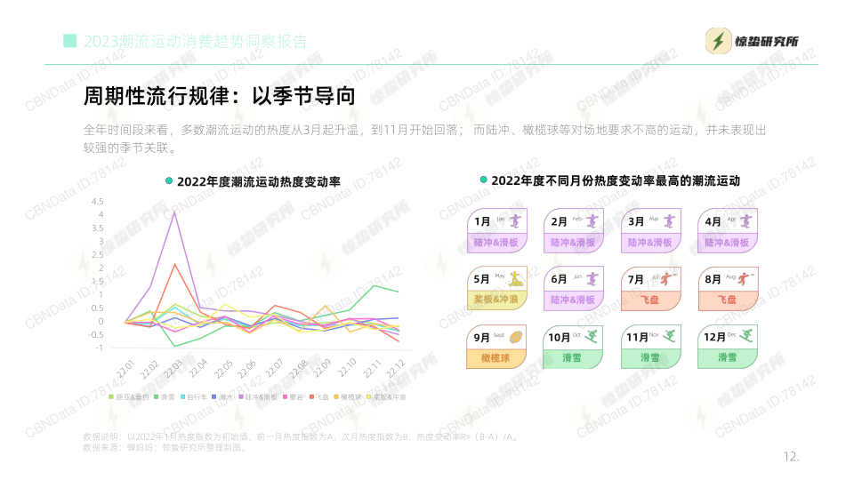 报告页面12