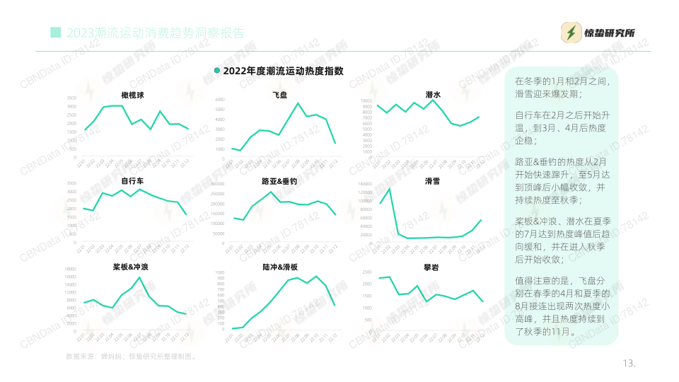 报告页面13