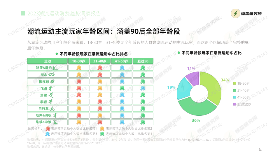 报告页面16