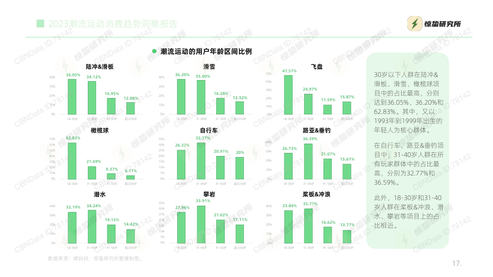 报告页面17