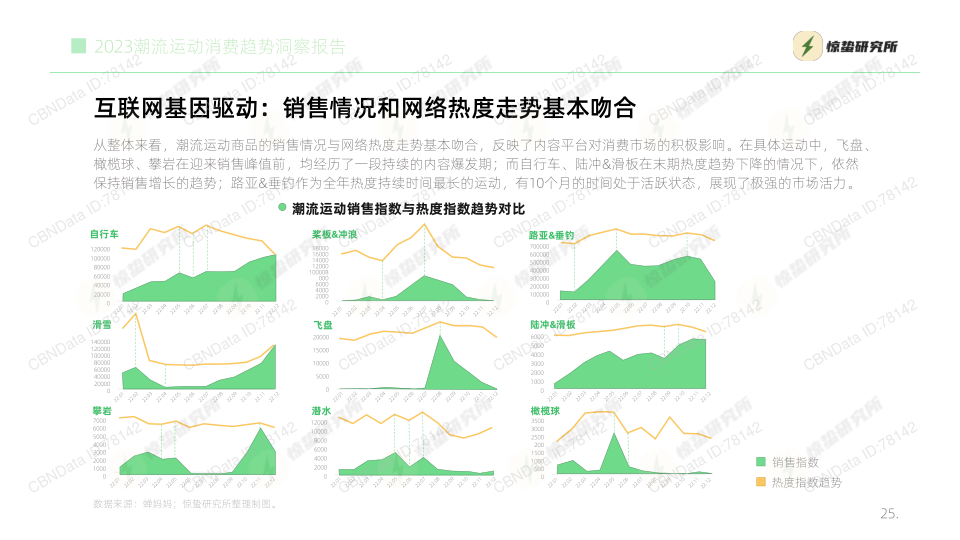 报告页面25