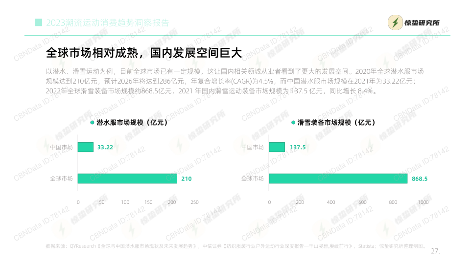 报告页面27