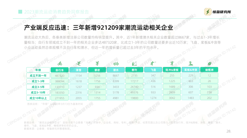 报告页面28