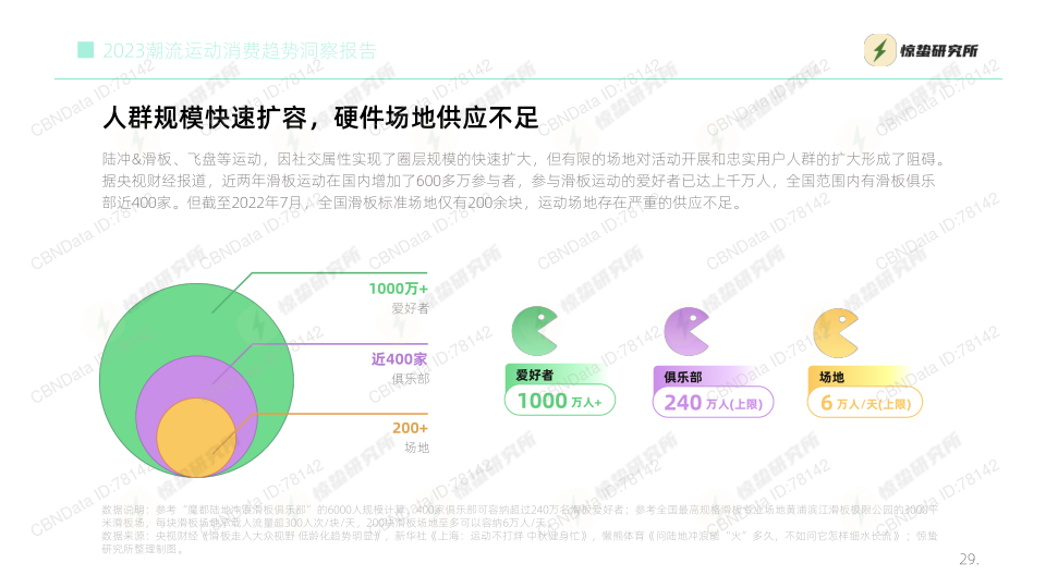 报告页面29