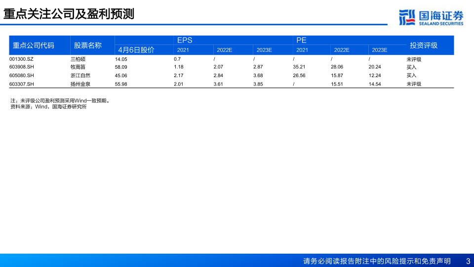 报告页面3