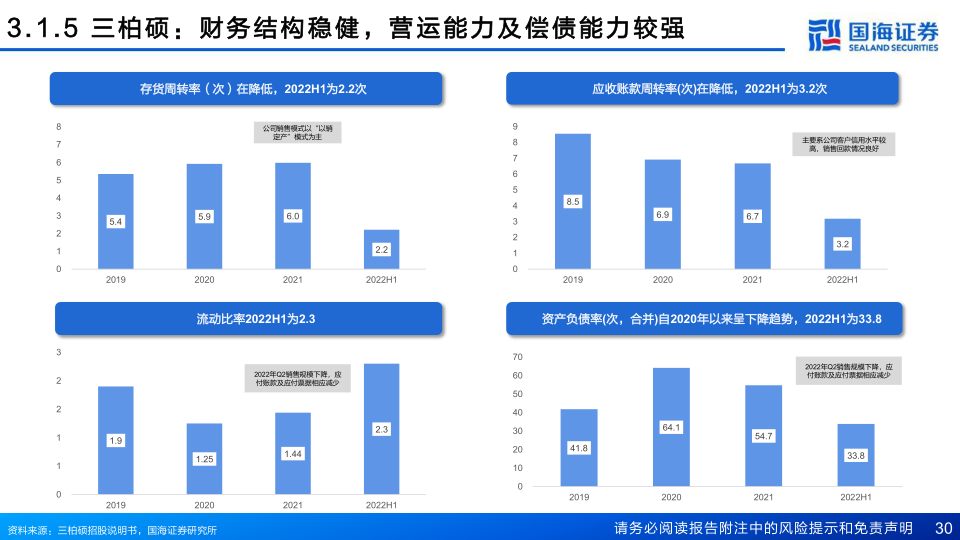 报告页面30