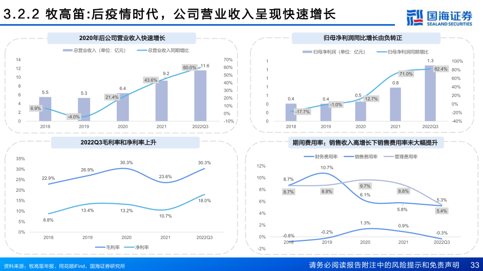 报告页面33