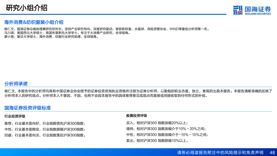 报告页面48