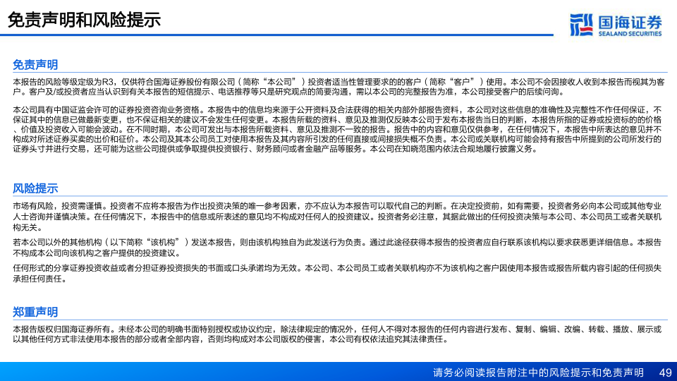 报告页面49