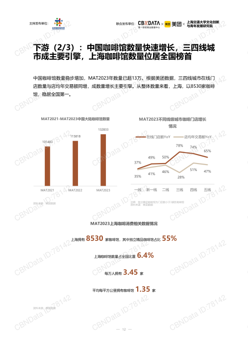 报告页面12