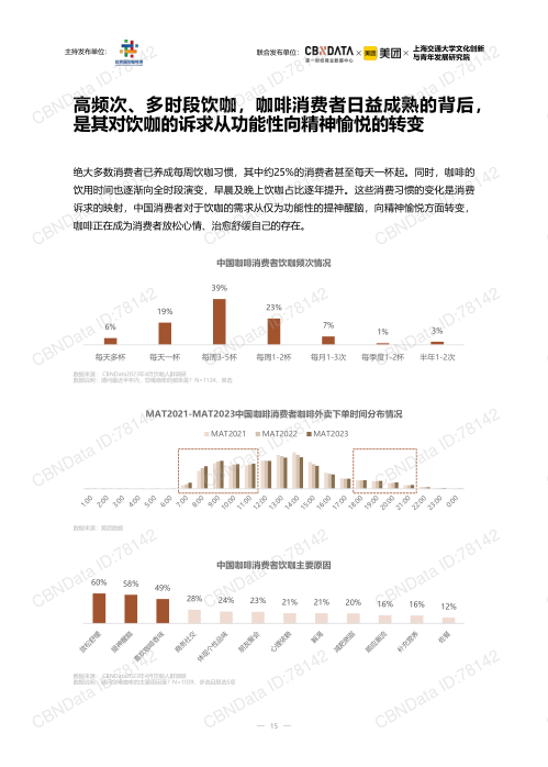 报告页面15