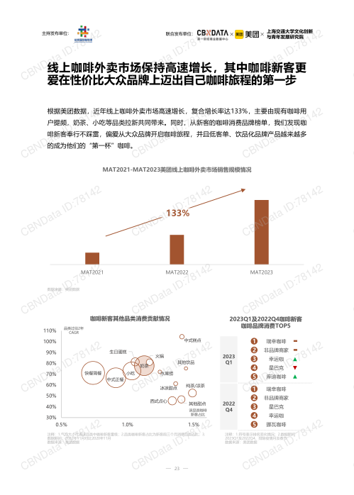 报告页面23