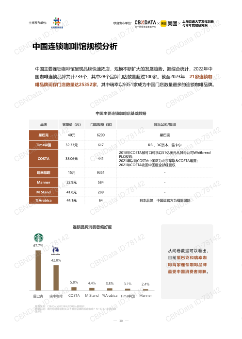 报告页面30