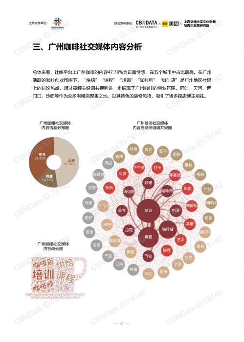 报告页面37