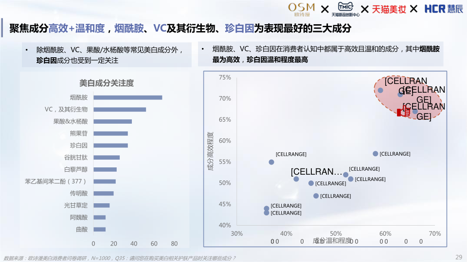 报告页面29