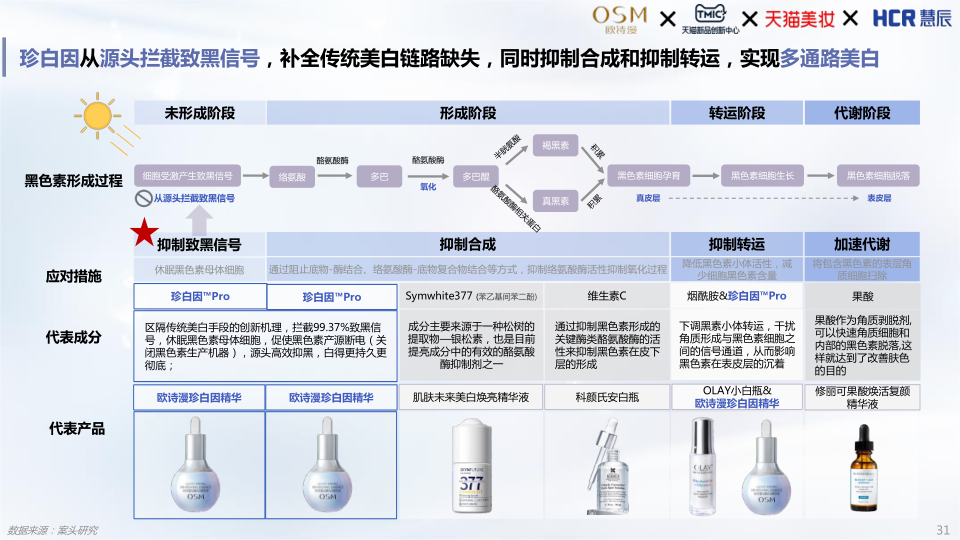 报告页面31