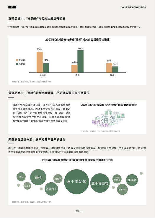 报告页面12