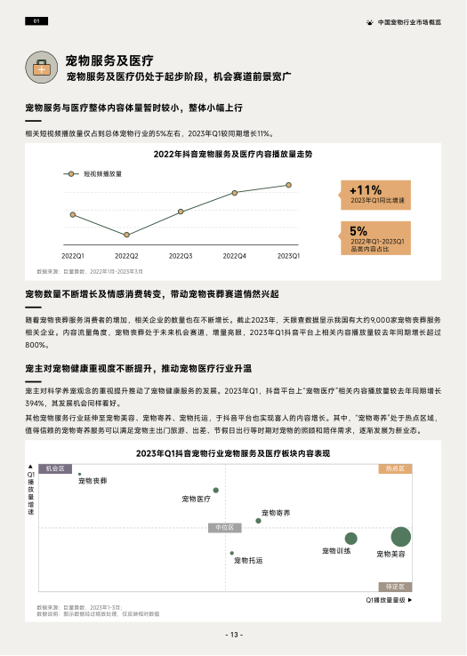 报告页面16