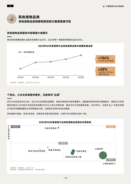 报告页面17