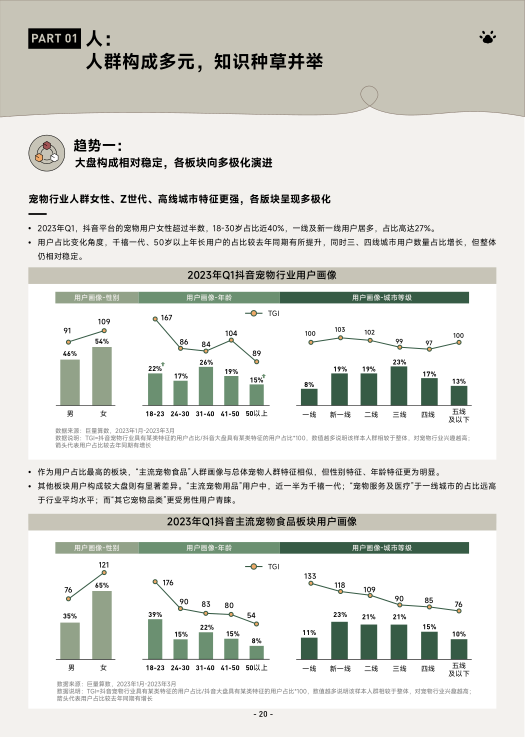 报告页面23