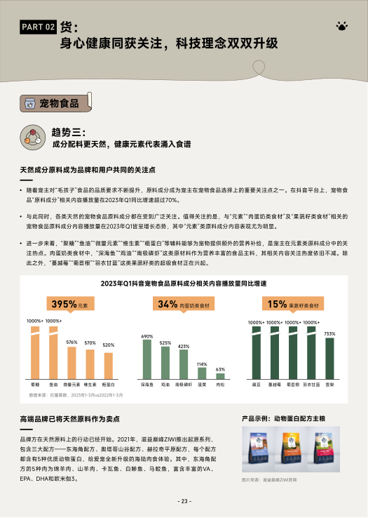 报告页面26