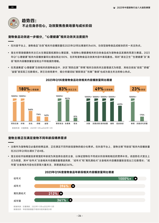 报告页面27