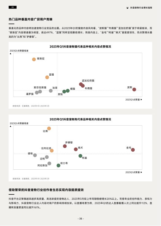 报告页面38