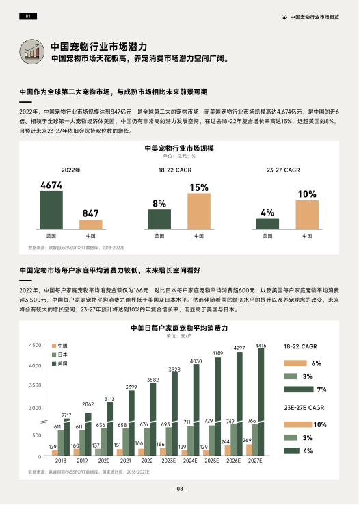 报告页面6