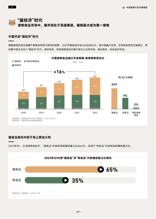 报告页面10