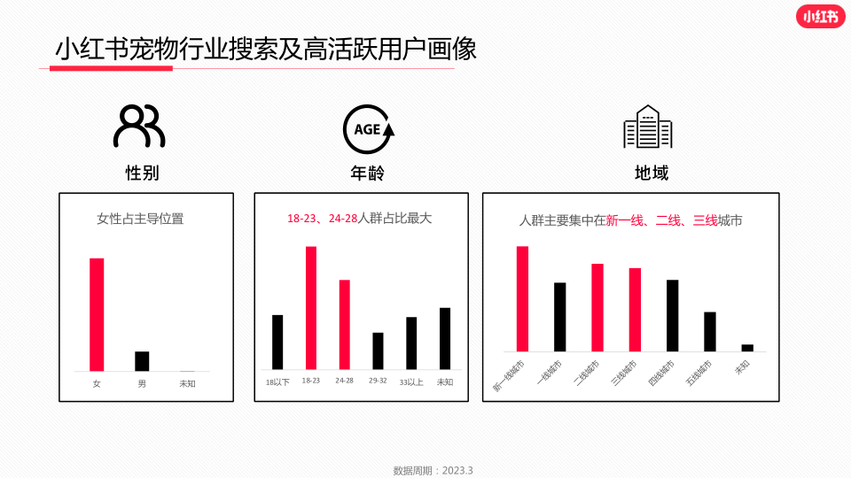 报告页面4