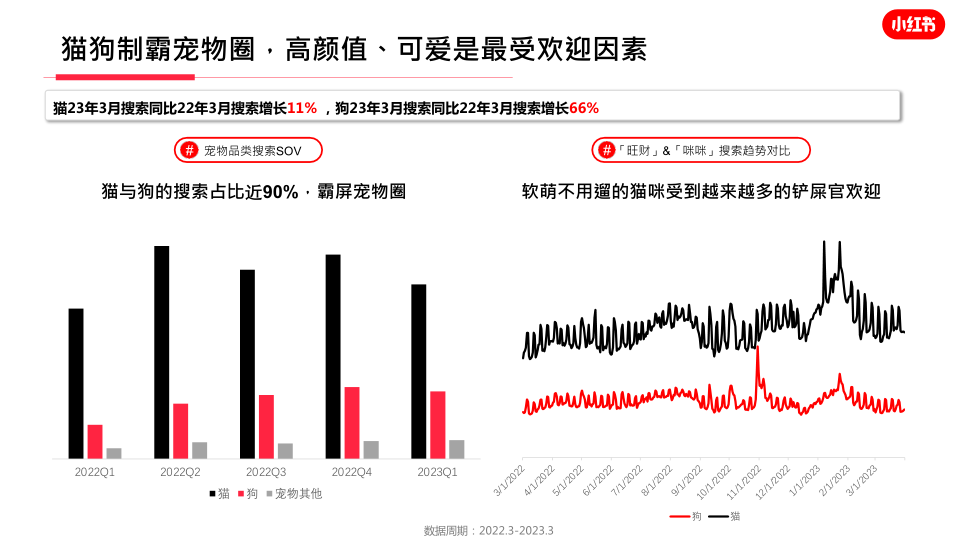 报告页面7