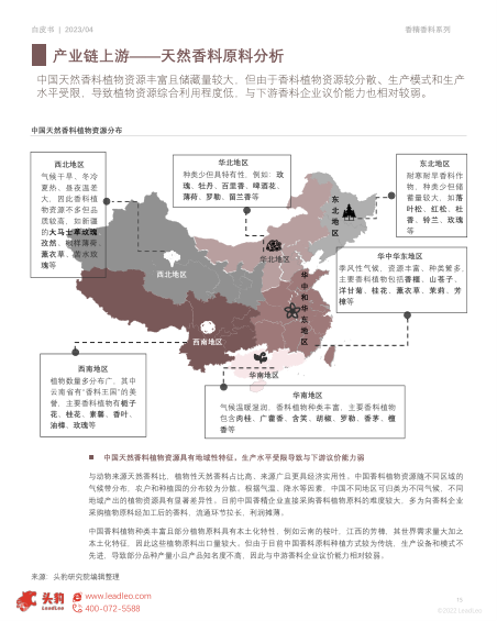 报告页面15