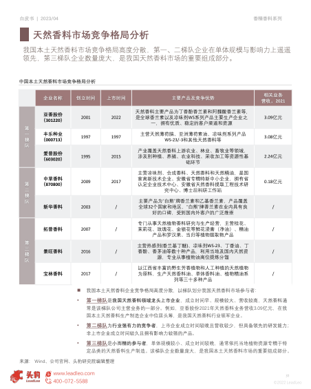 报告页面31