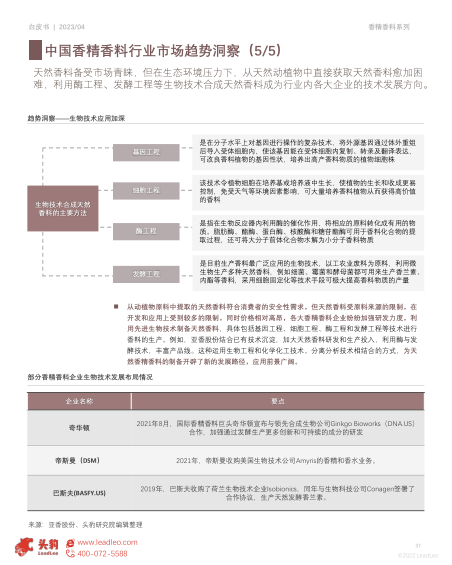 报告页面37