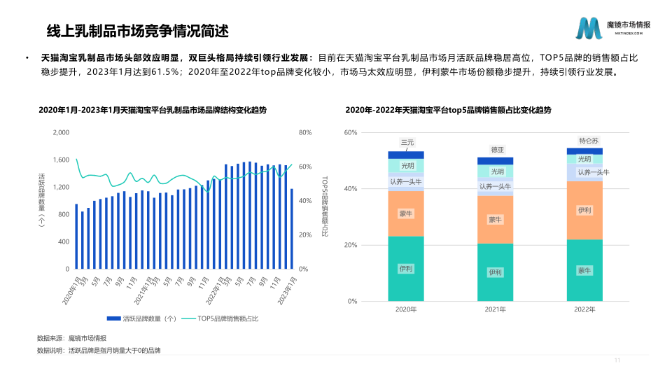 报告页面11