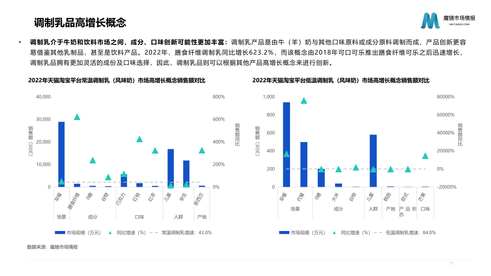 报告页面19