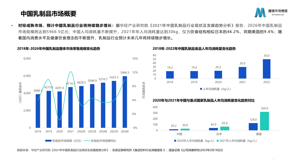 报告页面5