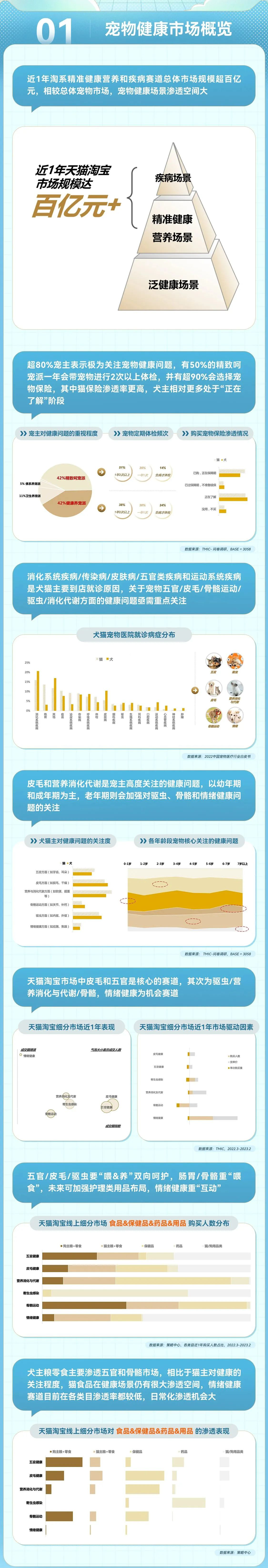 报告页面2