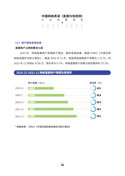 报告页面21