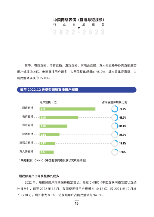 报告页面22