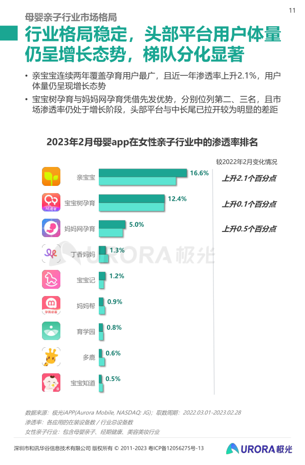 报告页面11