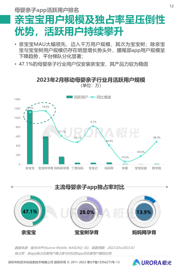 报告页面12