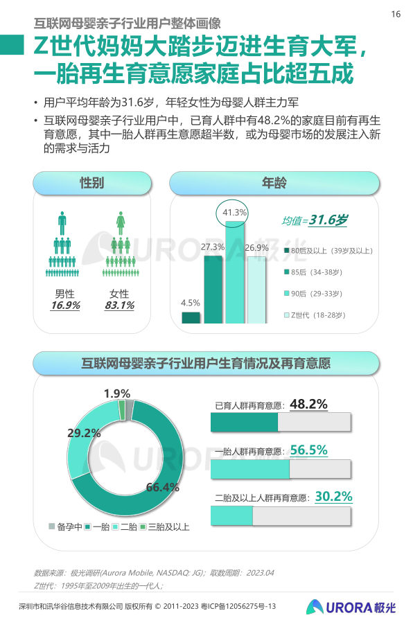 报告页面16